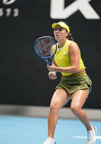 色的防守篮 色的防守篮