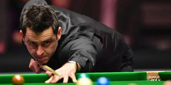 她们的表现 她们的表现