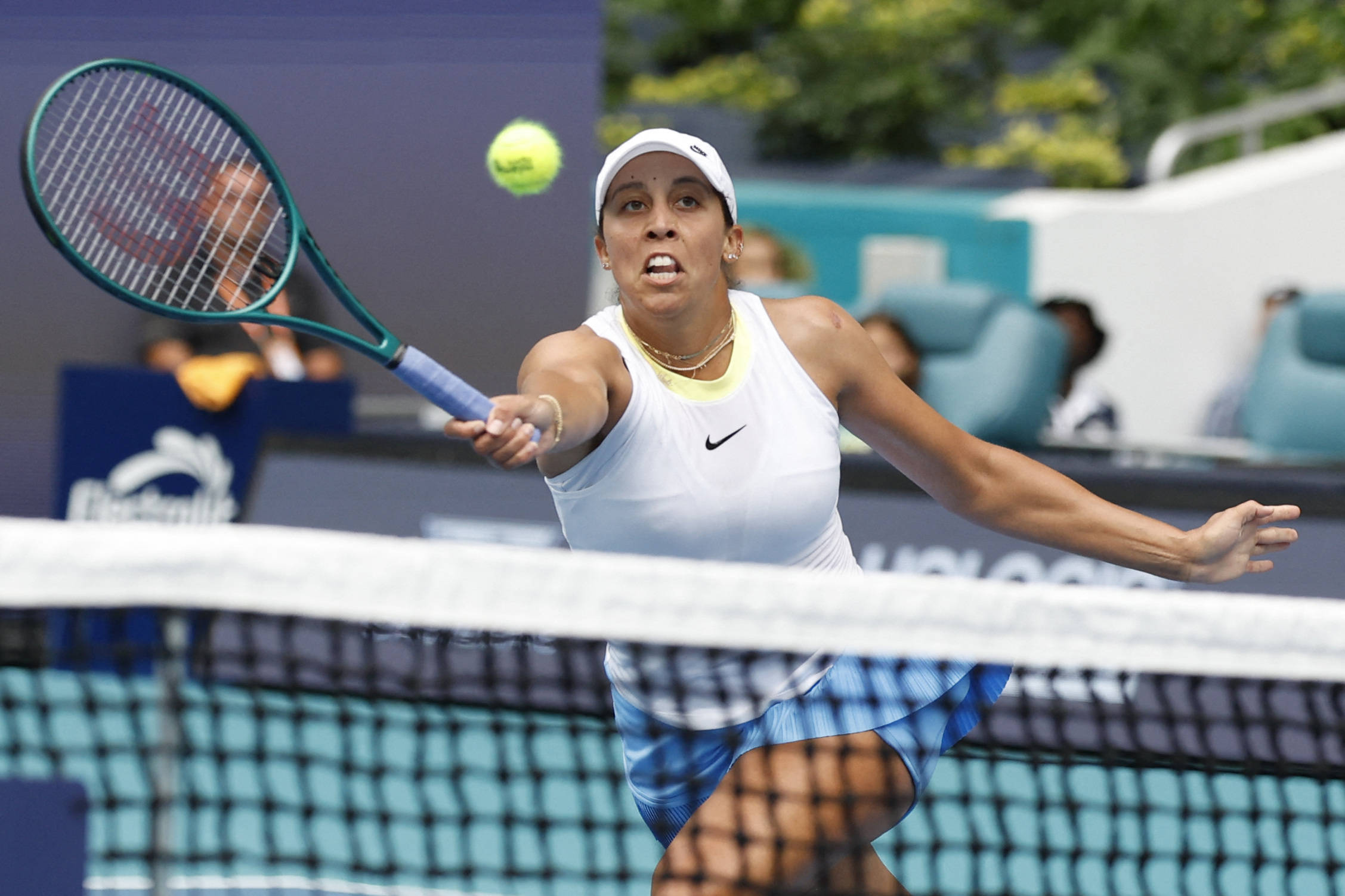 的适应能力 的适应能力