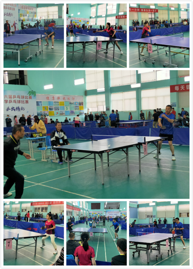 张朝阳在此 张朝阳在此